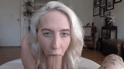 500px x 281px - Theaccretion - Sensual Pov Blowjob With Cadence Lux - See The Full Scene -  Do Not Delete Caption - Porn GIF Magazine